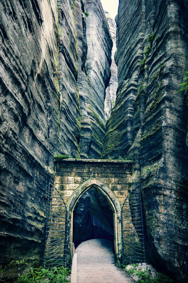 Into the unknown