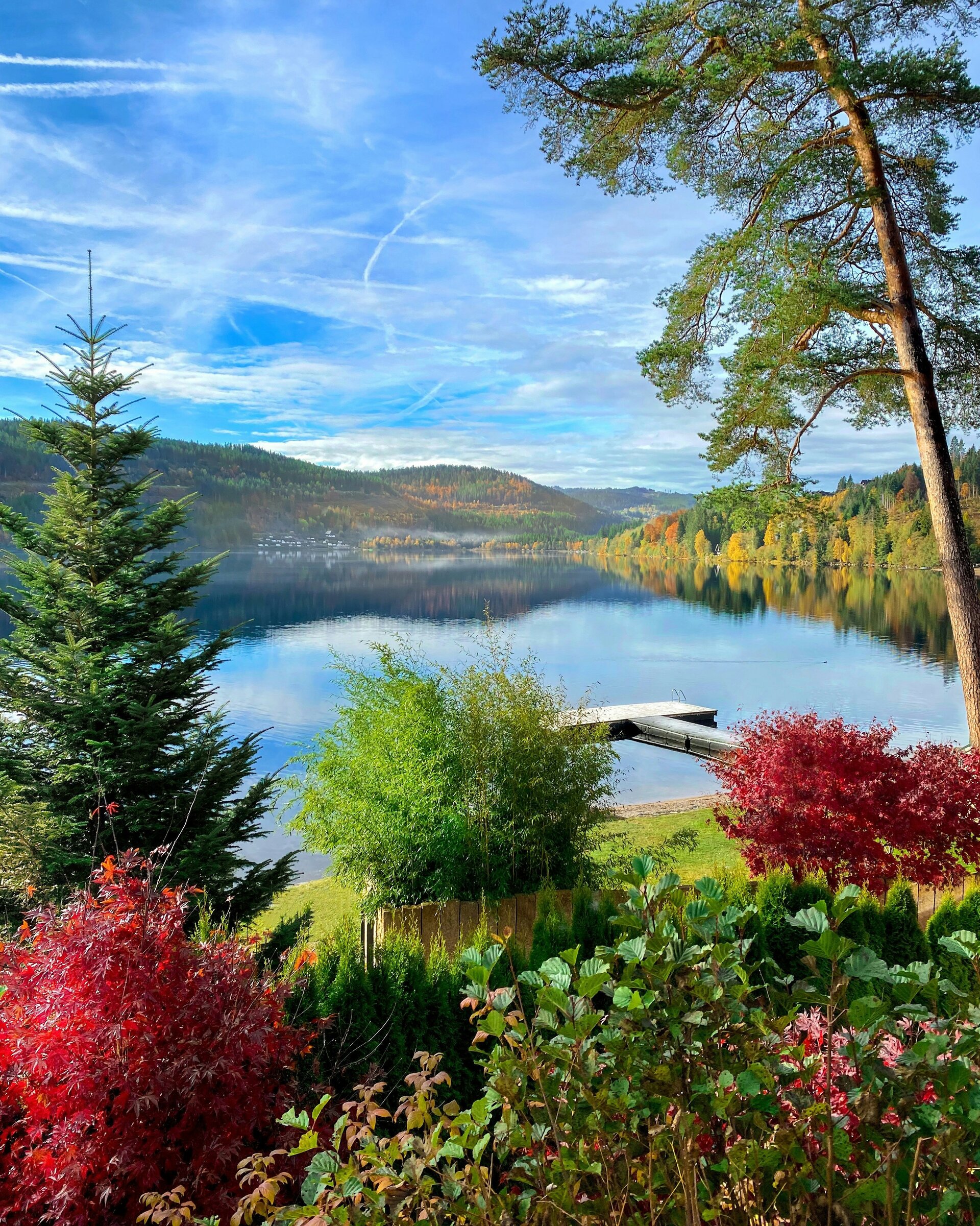 Fotospot Treschers Schwarzwald-Hotel: a scenic view of a lake surrounded by trees