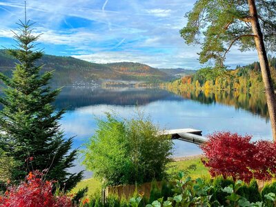 Treschers Black Forest Hotel: a scenic view of a lake surrounded by trees