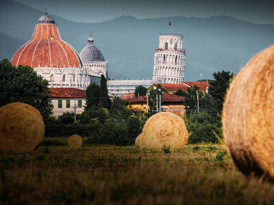 Fotospot Pisa Via Aurelia, Foto 1