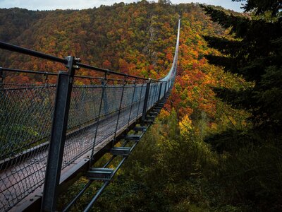 Hängeseilbrücke Geierlay: a long suspension bridge in the middle of a forest