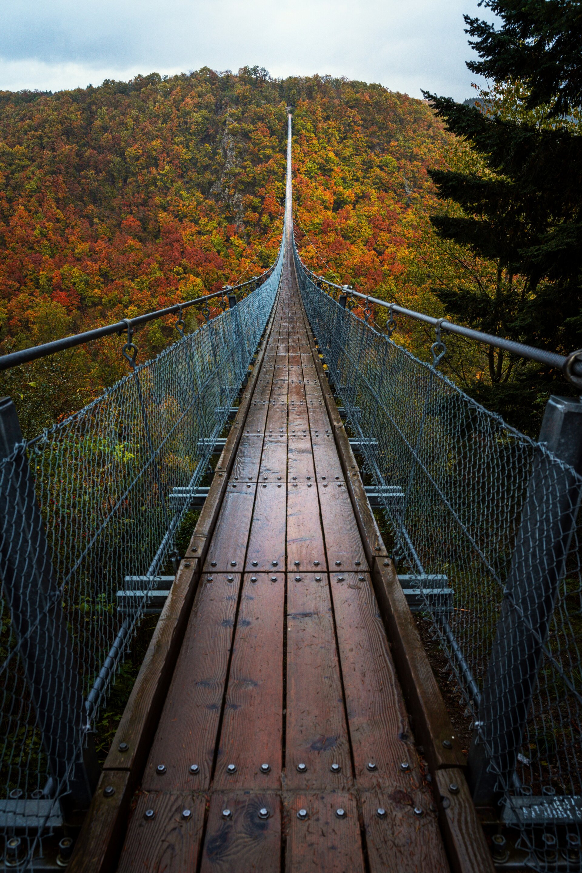 Fotospot Hängeseilbrücke Geierlay