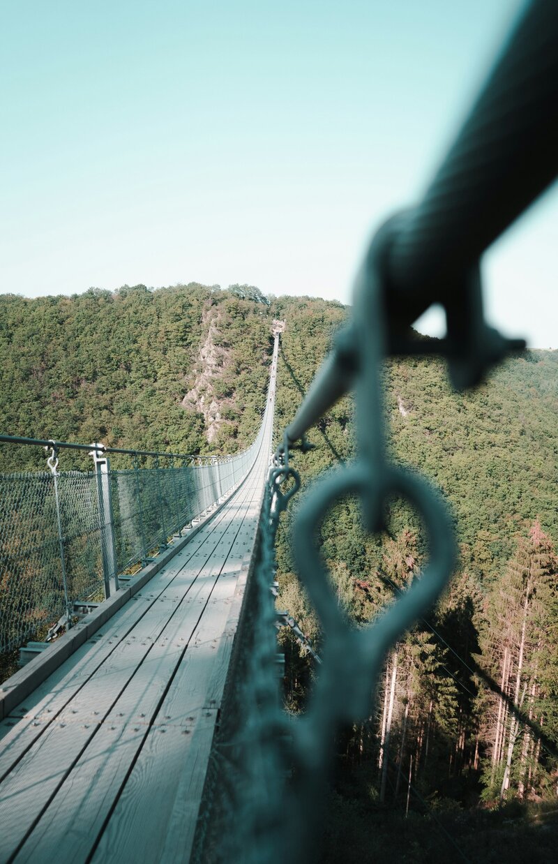 brown hanging bridge