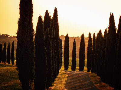 Fotospot Baccoleno Farmhouse, Foto 1