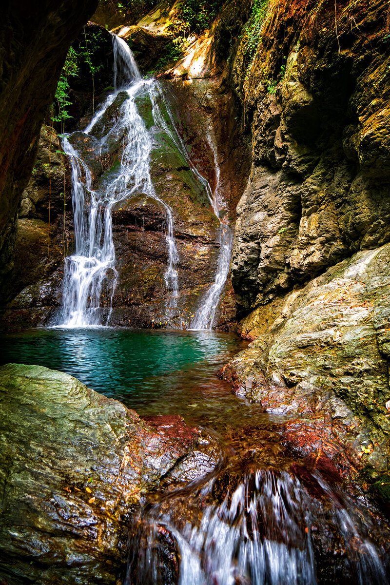 Blue Dragonflies Waterfall