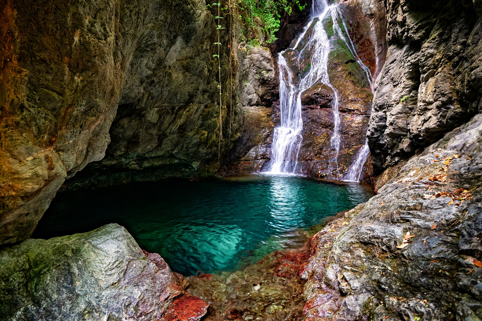 Fotospot Blue Dragonflies Waterfall