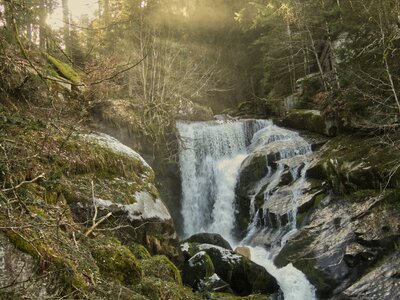 Triberger Wasserfälle: waterfalls in the middle of forest