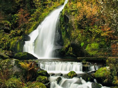 Triberger Wasserfälle: a small waterfall in the middle of a forest