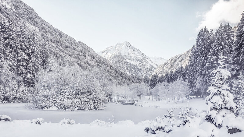 Winter im Stubai