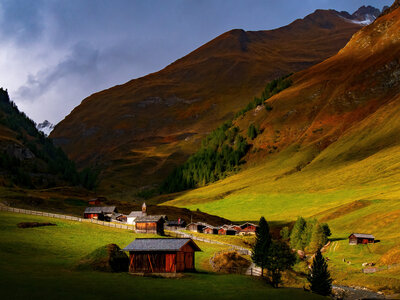 Fane Alm: Fane Alm