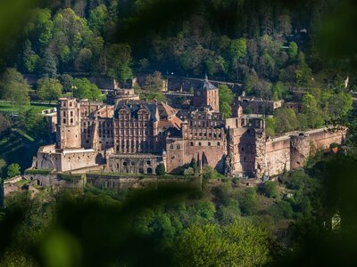 Schlossblick: majestic