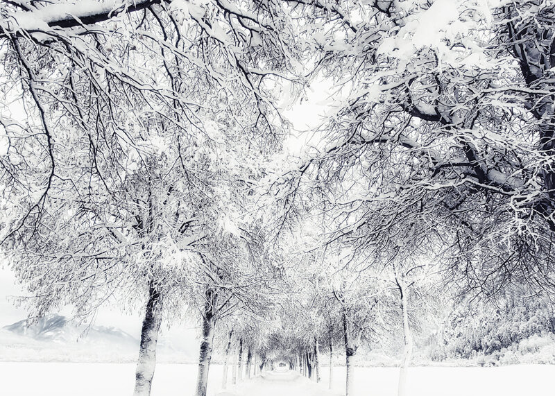 Winterallee