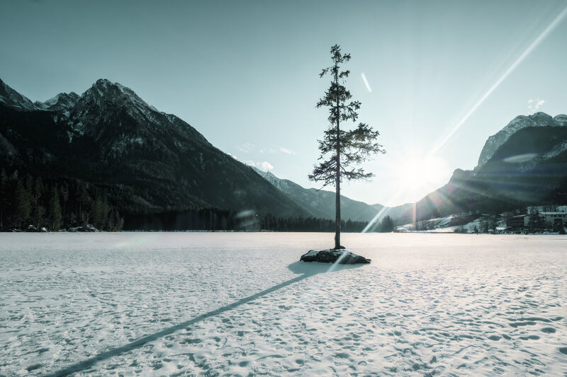 Winterscape im See