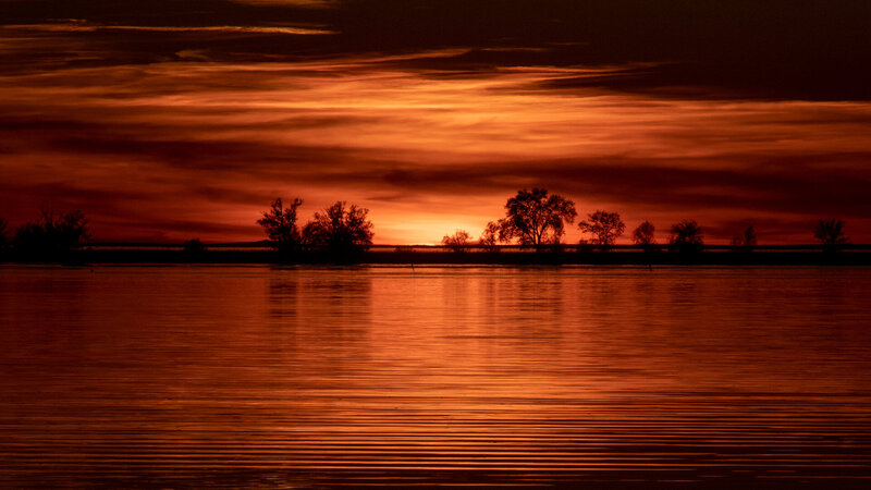 Sonnenuntergang im Rheindelta