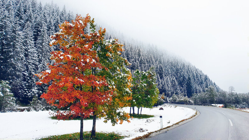 Herbst vs. Winter