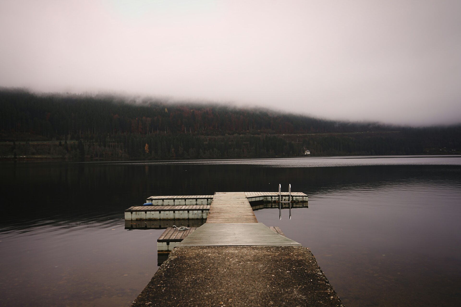 Fotospot Titisee: a dock sitting on top of a lake next to a forest