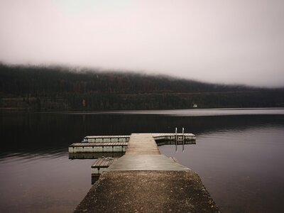 Titisee: a dock sitting on top of a lake next to a forest