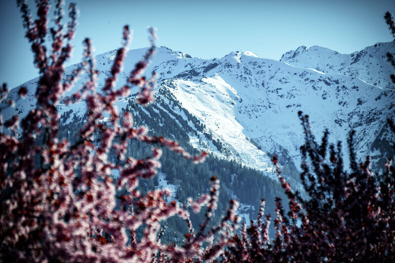 Winter vs. Frühling