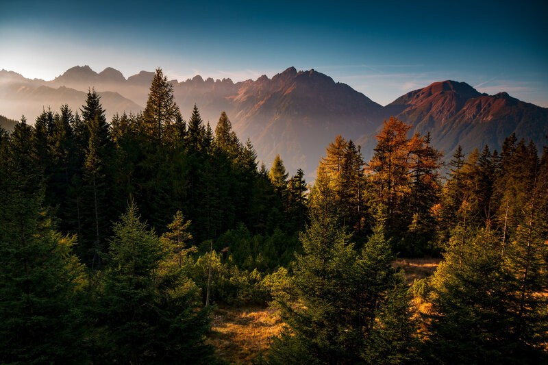 Blick in die Schlick