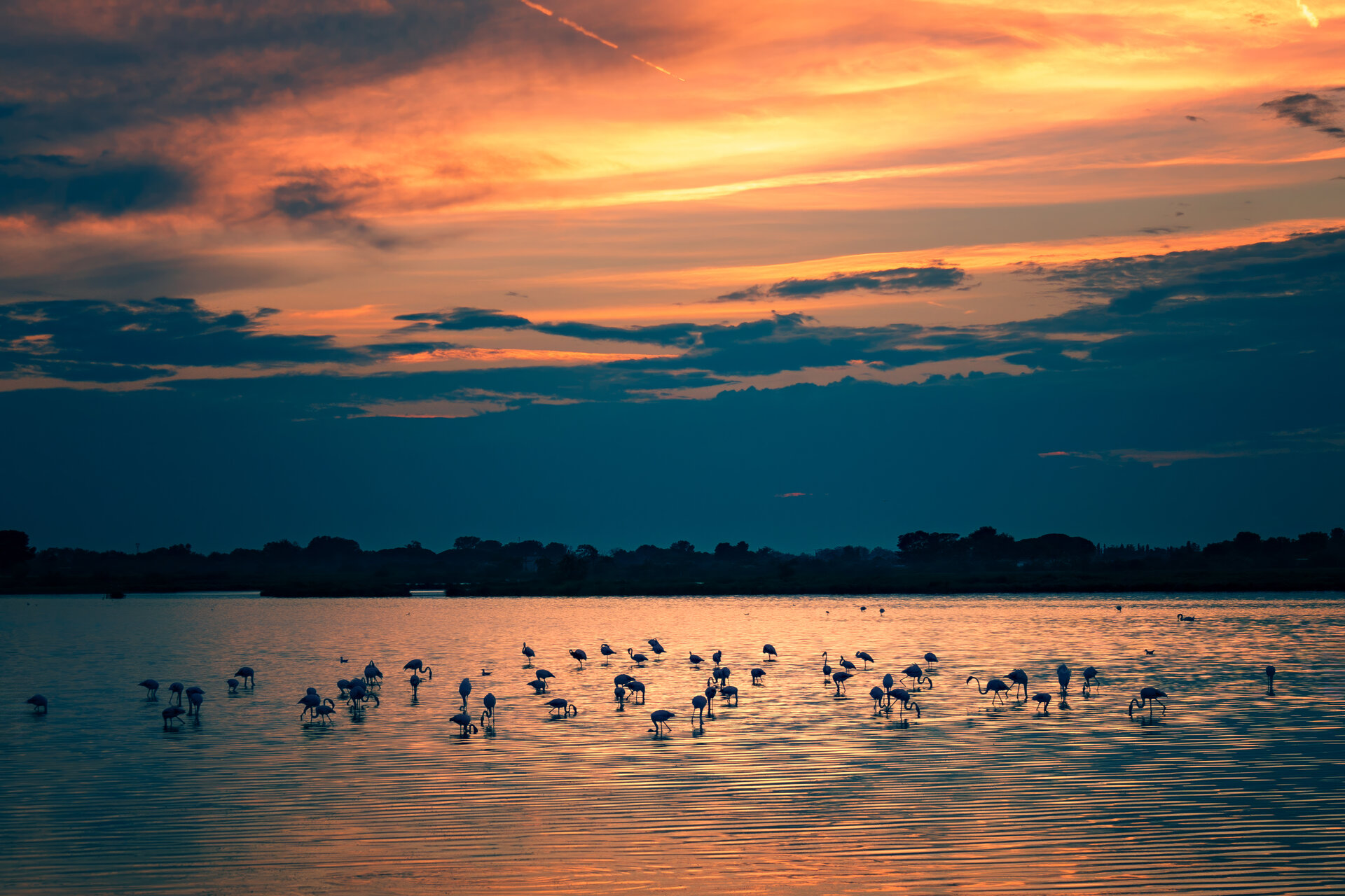 Fotospot Seen bei Aigues-Mortes