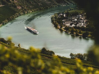 Moselschleife Bremm: A tourist ship on the Mosel.